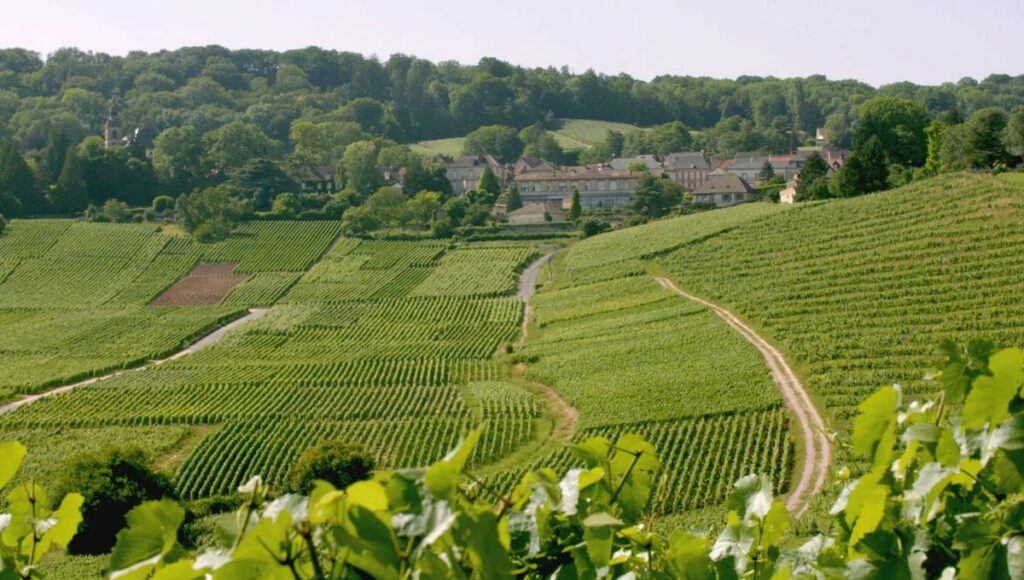 LA CHAMPAGNE-ARDENNE