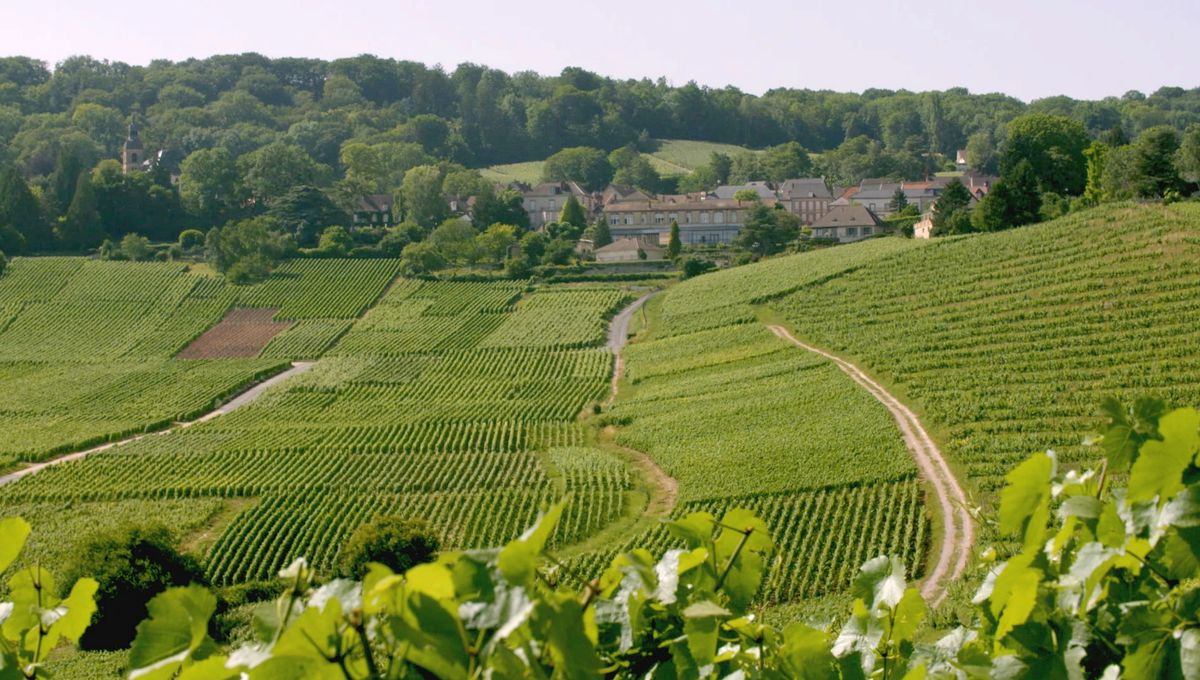 champagne-ardenne-reims-epernay-troyes-intertourisme
