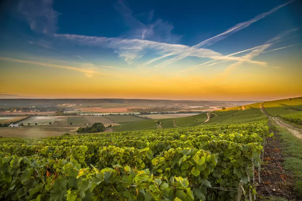 LA CHAMPAGNE-ARDENNE