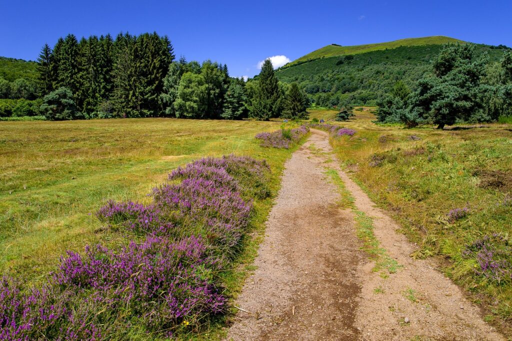 L’AUVERGNE