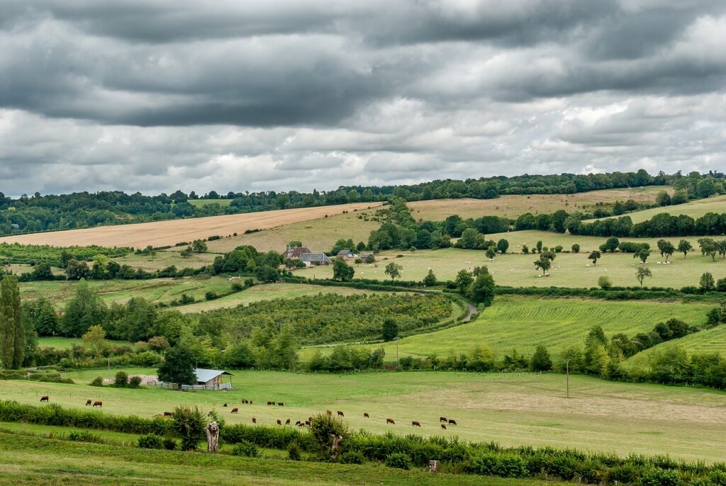 NORMANDIE - NORMANDY