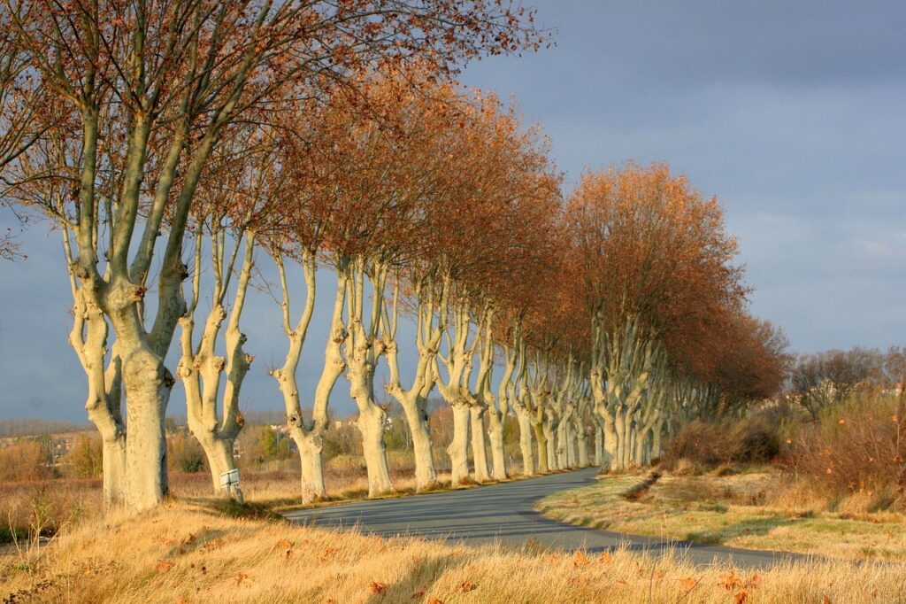 L’OCCITANIE - OCCITANIA - OKZITANIEN